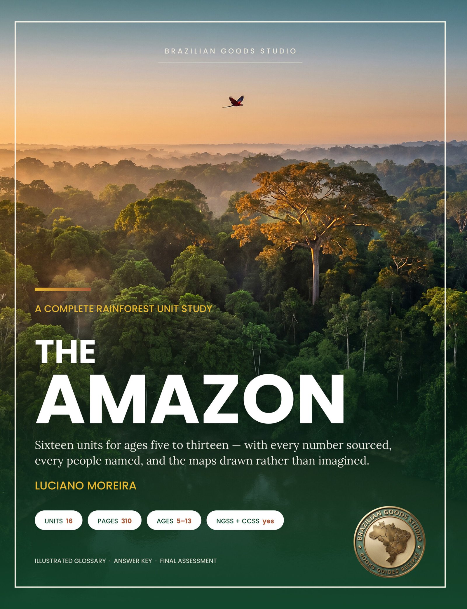 The Amazon paperback cover